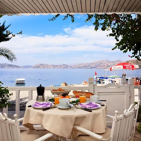 فندق Waterfront 4*